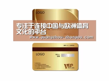 项目名称三