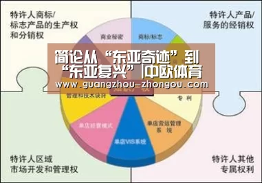 中欧体育直播