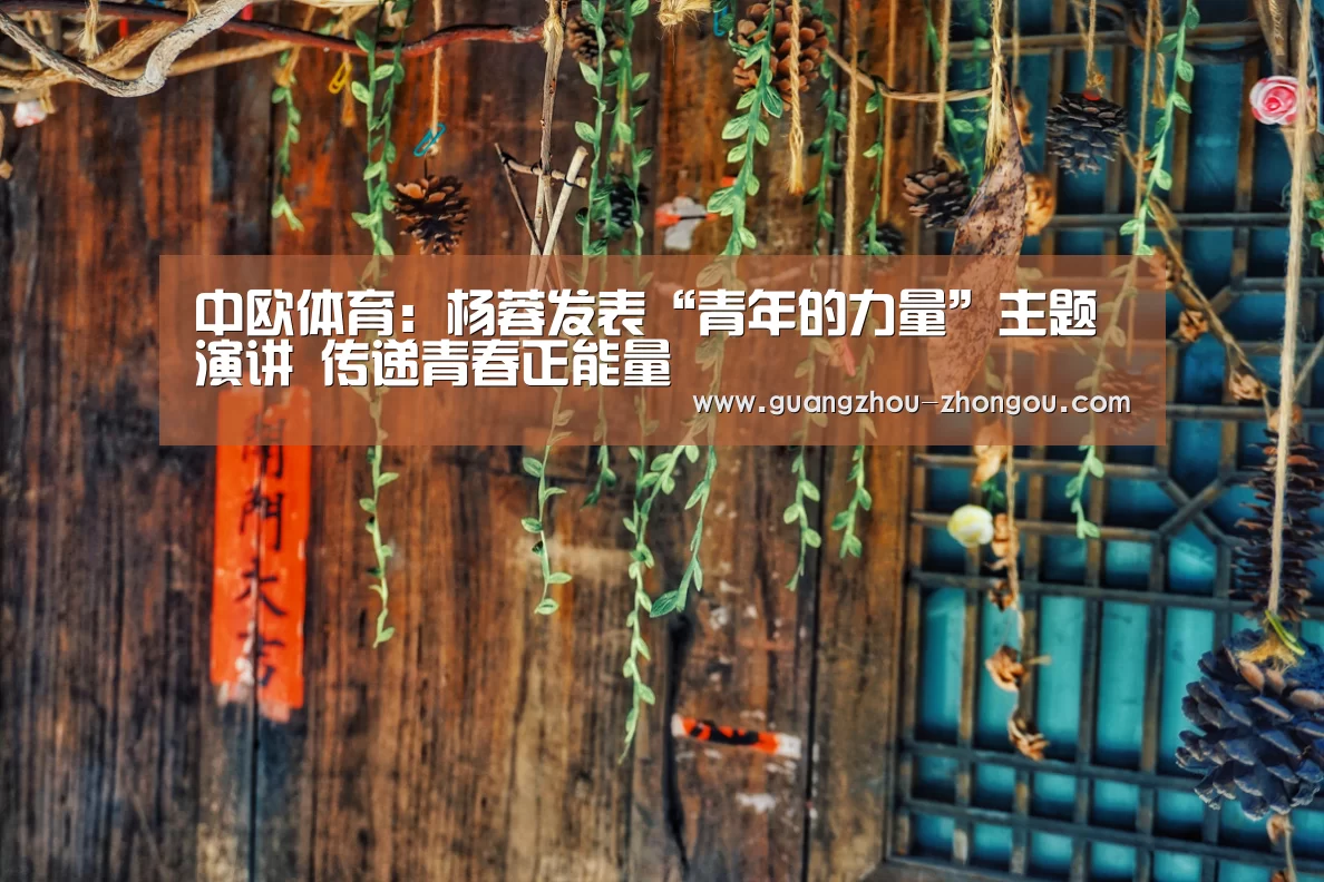 中欧体育