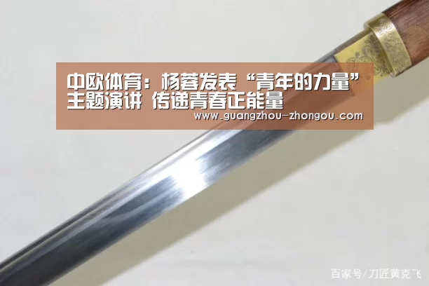 中欧体育直播