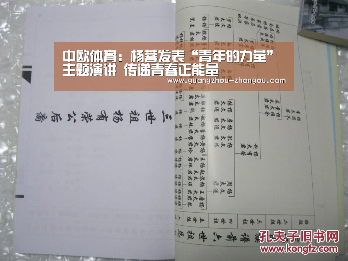 中欧体育直播
