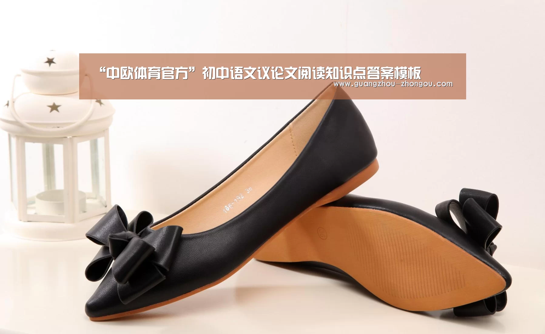 “中欧体育官方”初中语文议论文阅读知识点答案模板(图3) 中欧体育app