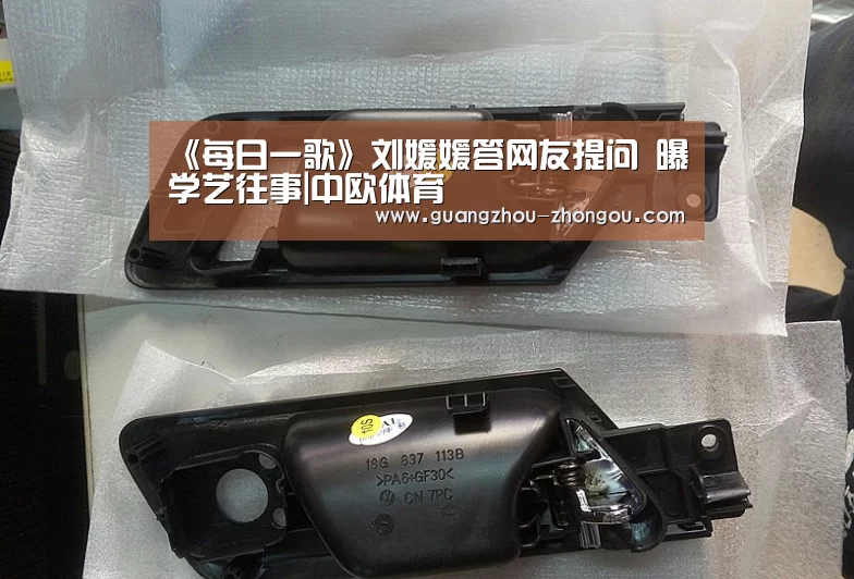 中欧体育直播